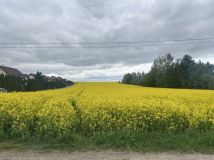 Działka budowlana Tomaszówka. Zdjęcie 2