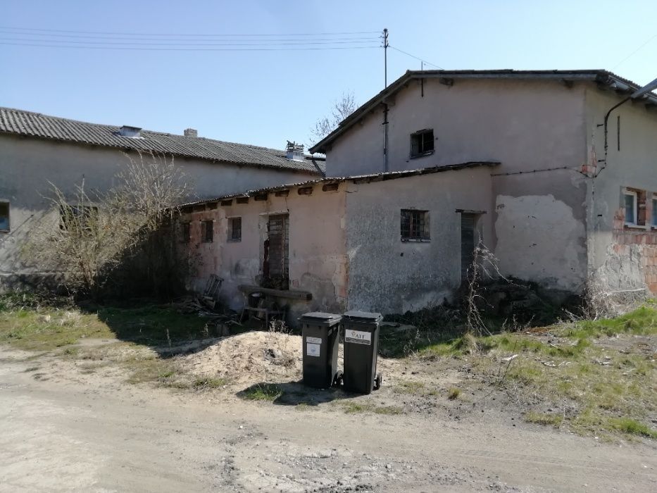 Hala/magazyn Niemierzyno. Zdjęcie 6