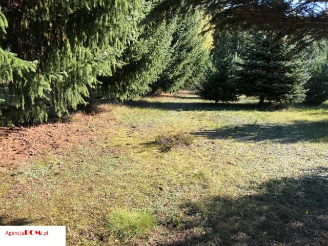 Działka budowlana Marynin. Zdjęcie 6