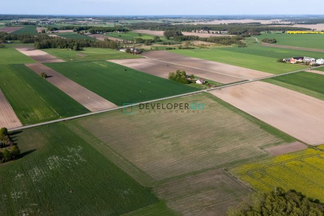 Działka budowlana Kurowo-Kolonia. Zdjęcie 4