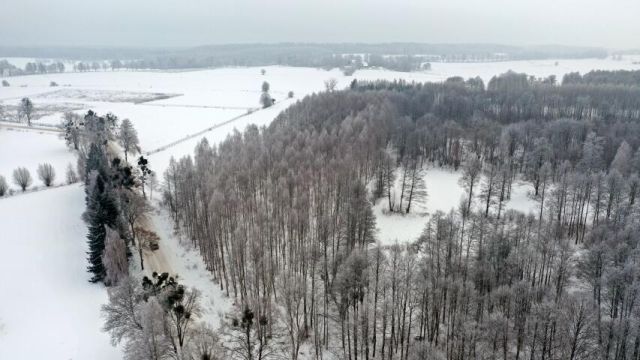 Działka leśna Harsz. Zdjęcie 3