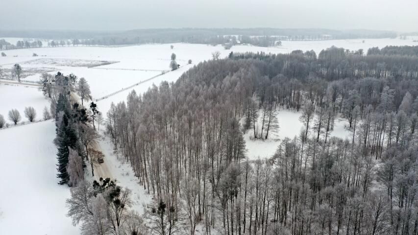 Działka leśna Harsz. Zdjęcie 3