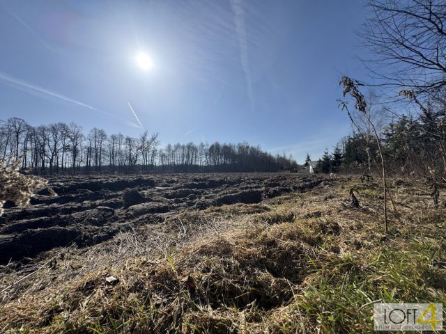 Działka rolno-budowlana Smyków. Zdjęcie 14