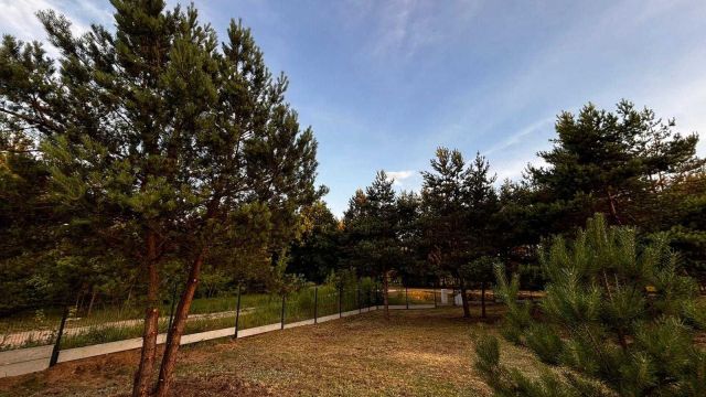 Działka budowlana Zalesie Borowe. Zdjęcie 1