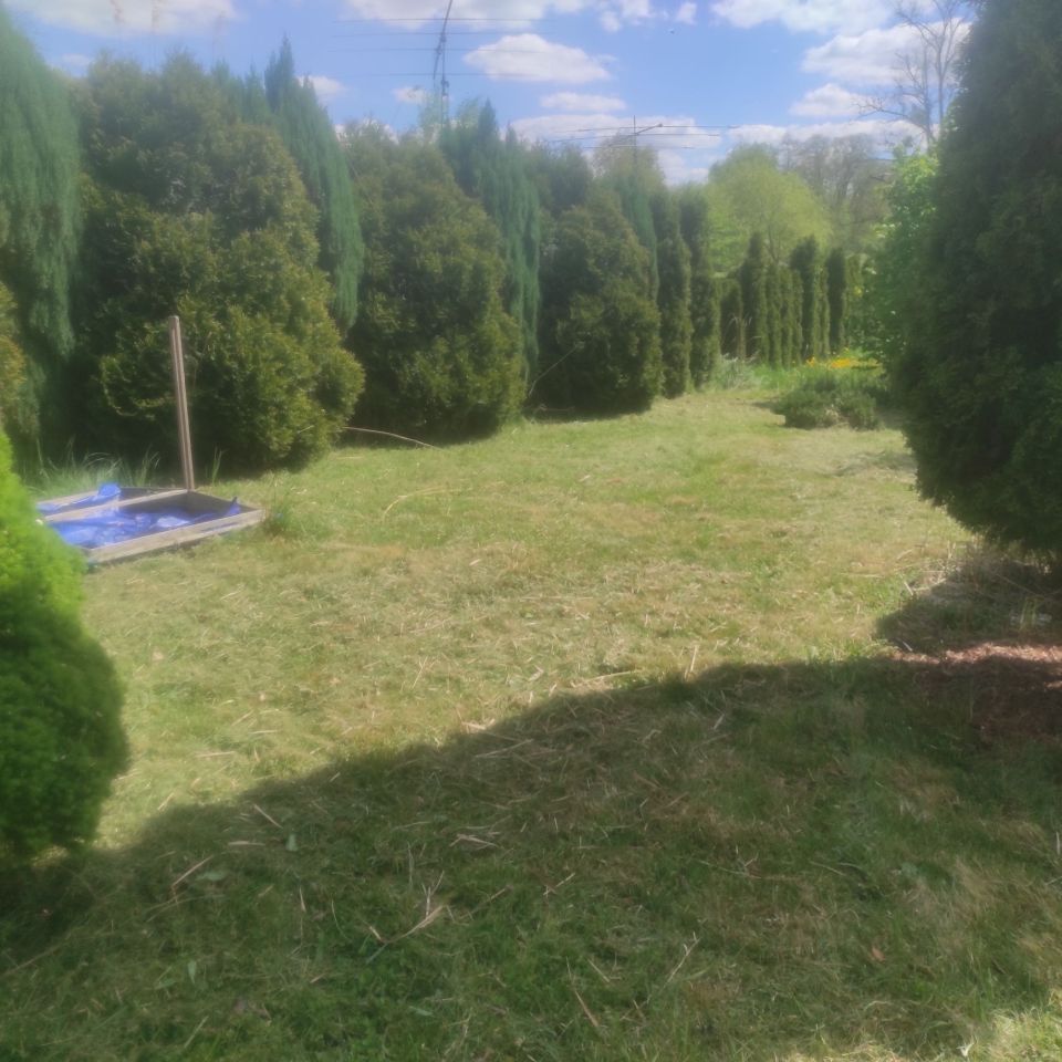 Działka rod Gliwice Łabędy. Zdjęcie 6