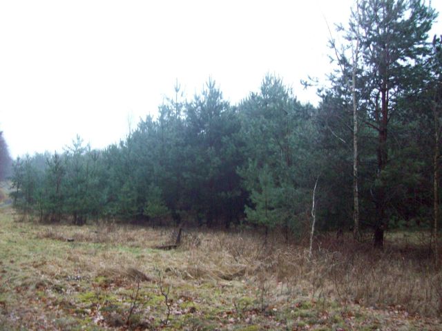 Działka budowlana Mostki. Zdjęcie 1