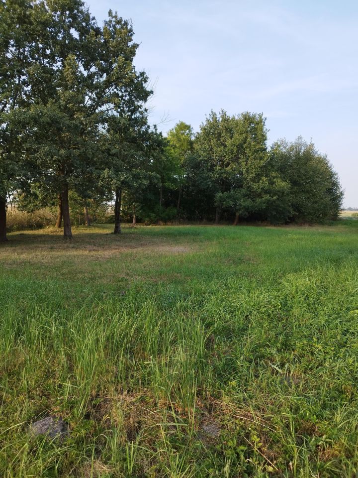 Działka budowlana Konstantynów. Zdjęcie 20