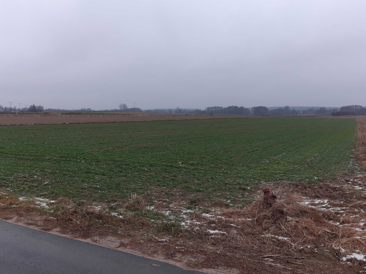 Działka rolno-budowlana Nowy Dwór-Parcela. Zdjęcie 4