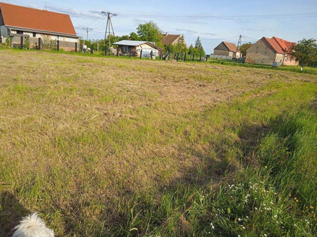 Działka budowlana Golanka Dolna. Zdjęcie 4