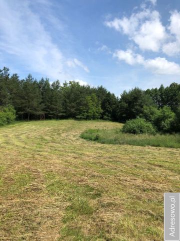 Działka Remieńkiń. Zdjęcie 1
