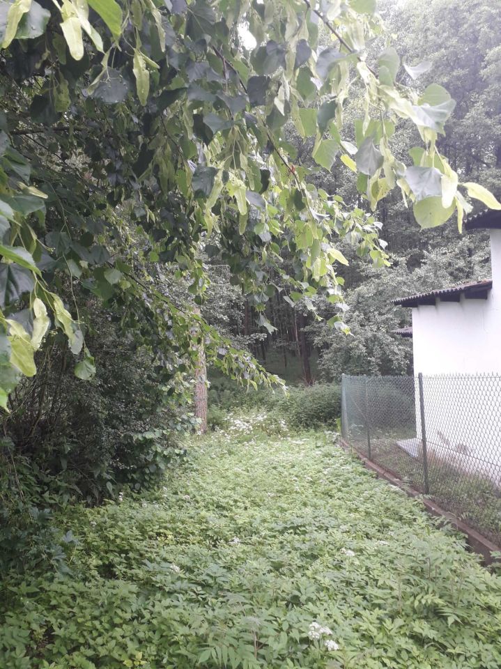 Działka rolna Przewodowice. Zdjęcie 8