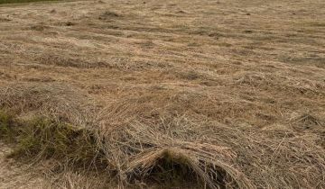 Działka budowlana Poręba Wielka, ul. Leśniczówka