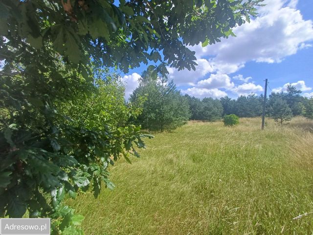 Działka budowlana Odry. Zdjęcie 1