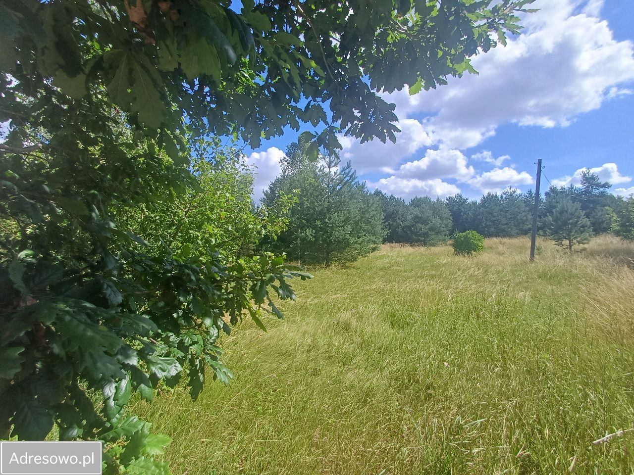 Działka budowlana Odry