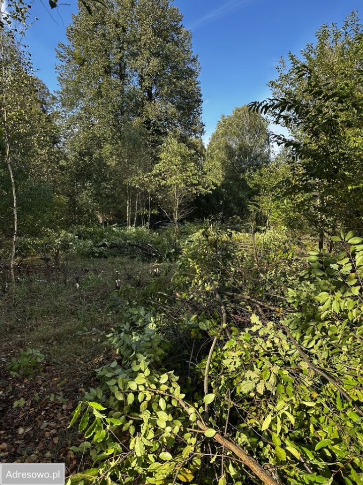 Działka rolno-budowlana Kalonka. Zdjęcie 4