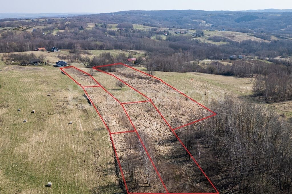 Działka Lubenia. Zdjęcie 1