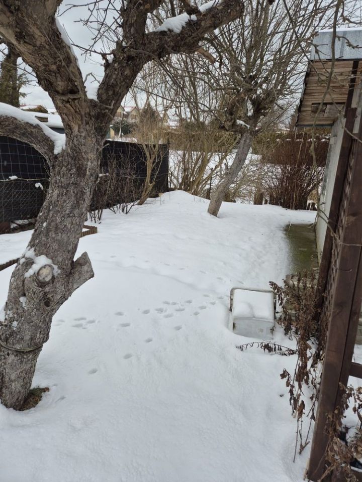 Działka rod Ustka, ul. Polna. Zdjęcie 4