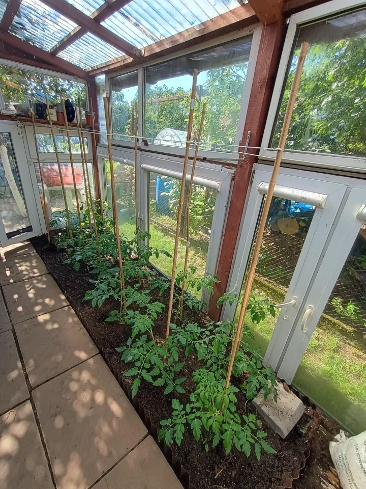 Działka rod Piła, al. Wojska Polskiego. Zdjęcie 8