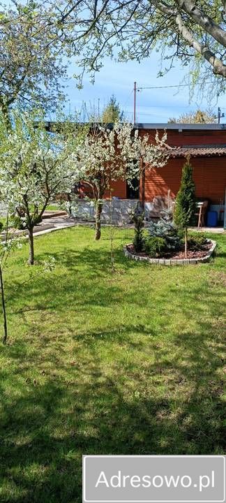 Działka rod Piotrków Trybunalski Belzatka, ul. Gęsia. Zdjęcie 7