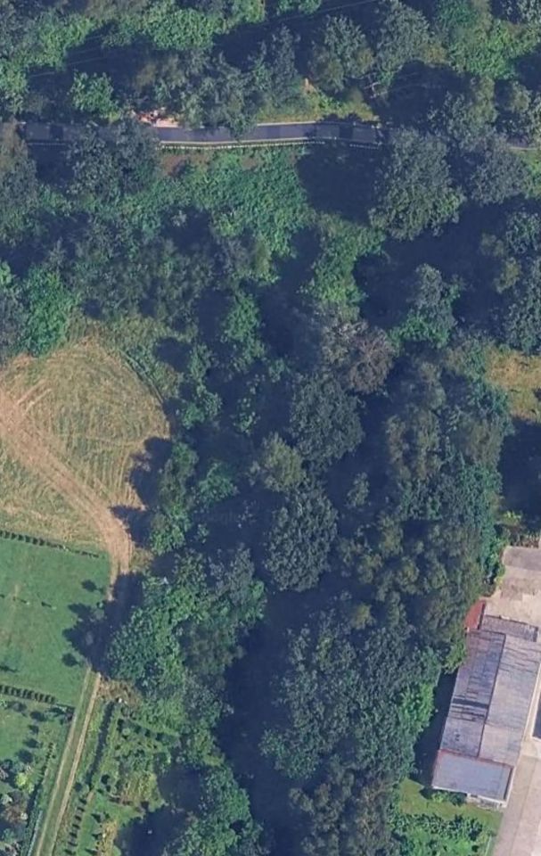 Działka rolno-budowlana Radlin Głożyny, ul. Wrzosowa. Zdjęcie 2