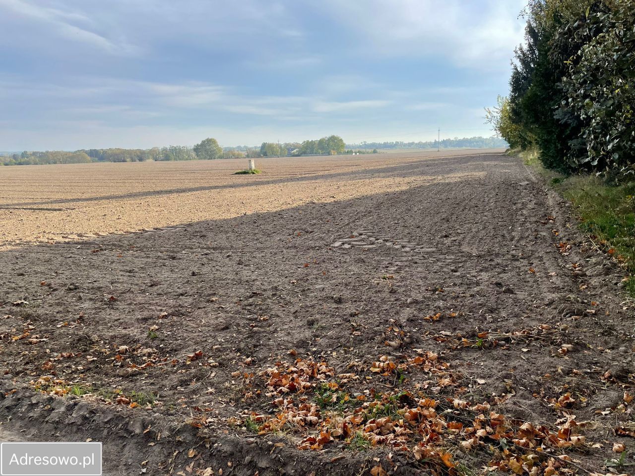 Działka budowlana Promienko Wiktorówka, ul. Tawułowa. Zdjęcie 6