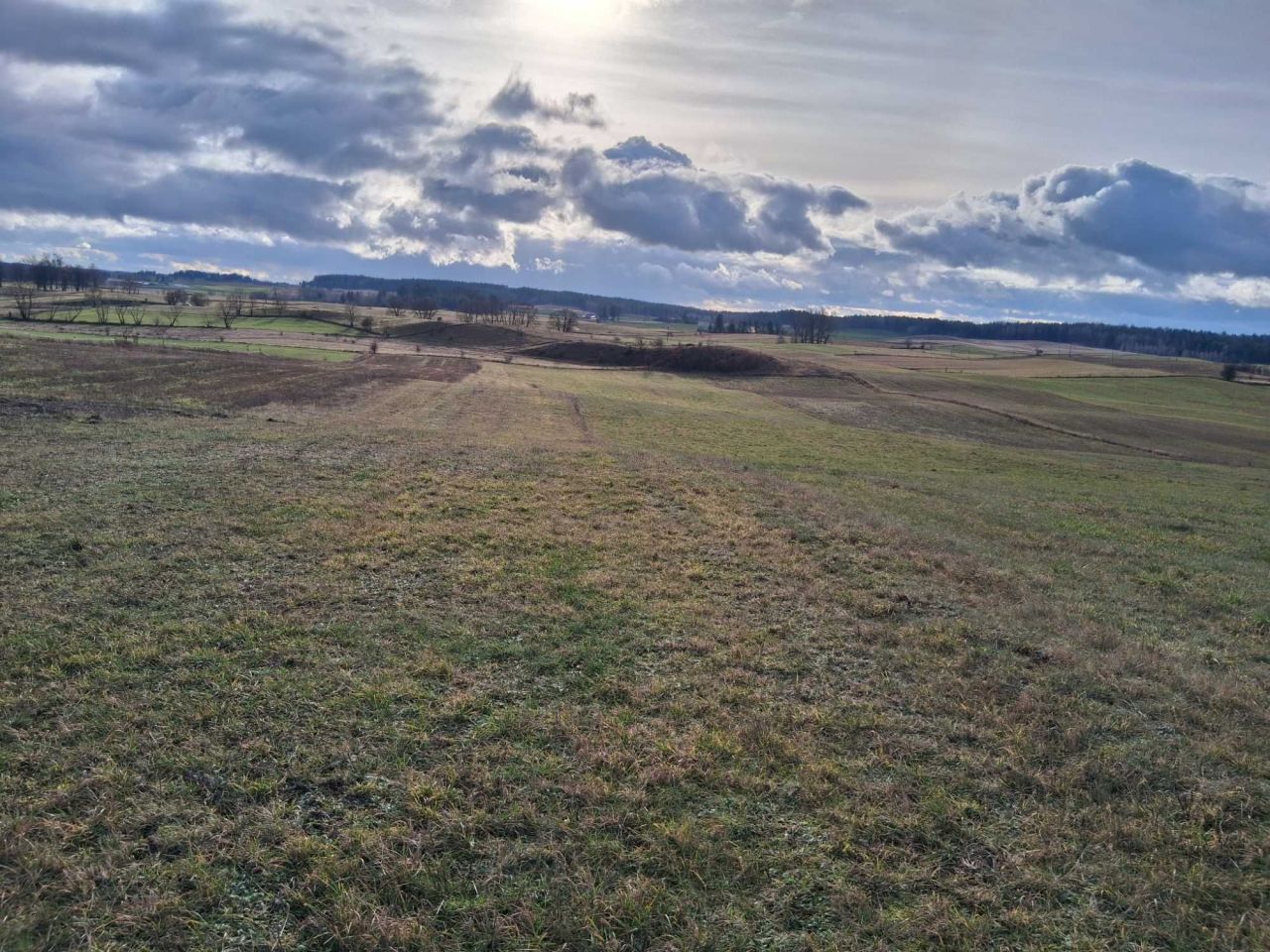 Działka rolna Paprotki. Zdjęcie 5