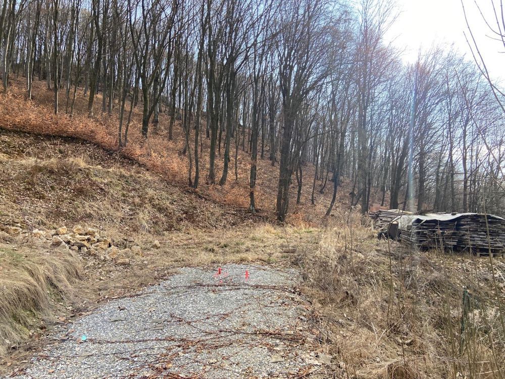 Działka budowlana Jerzmanowice, ul. Centralna. Zdjęcie 4
