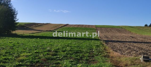 Działka budowlana Jędruszkowce. Zdjęcie 1