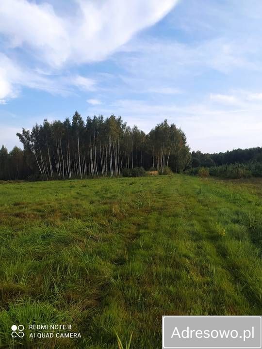 Działka rolna Prace Małe, ul. Polna. Zdjęcie 4