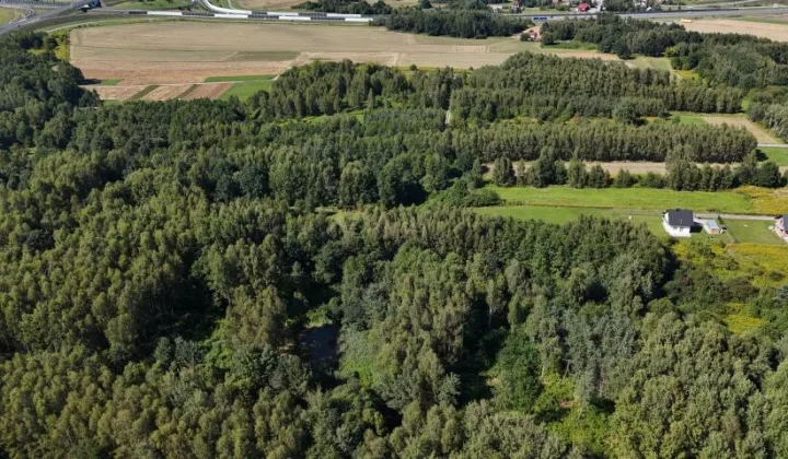 Działka rolno-budowlana Tarnów Krzyż, ul. Wilcza