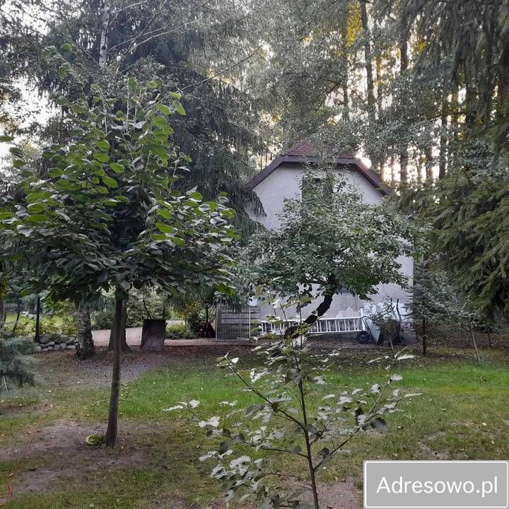 dom wolnostojący, 6 pokoi Olmonty. Zdjęcie 6