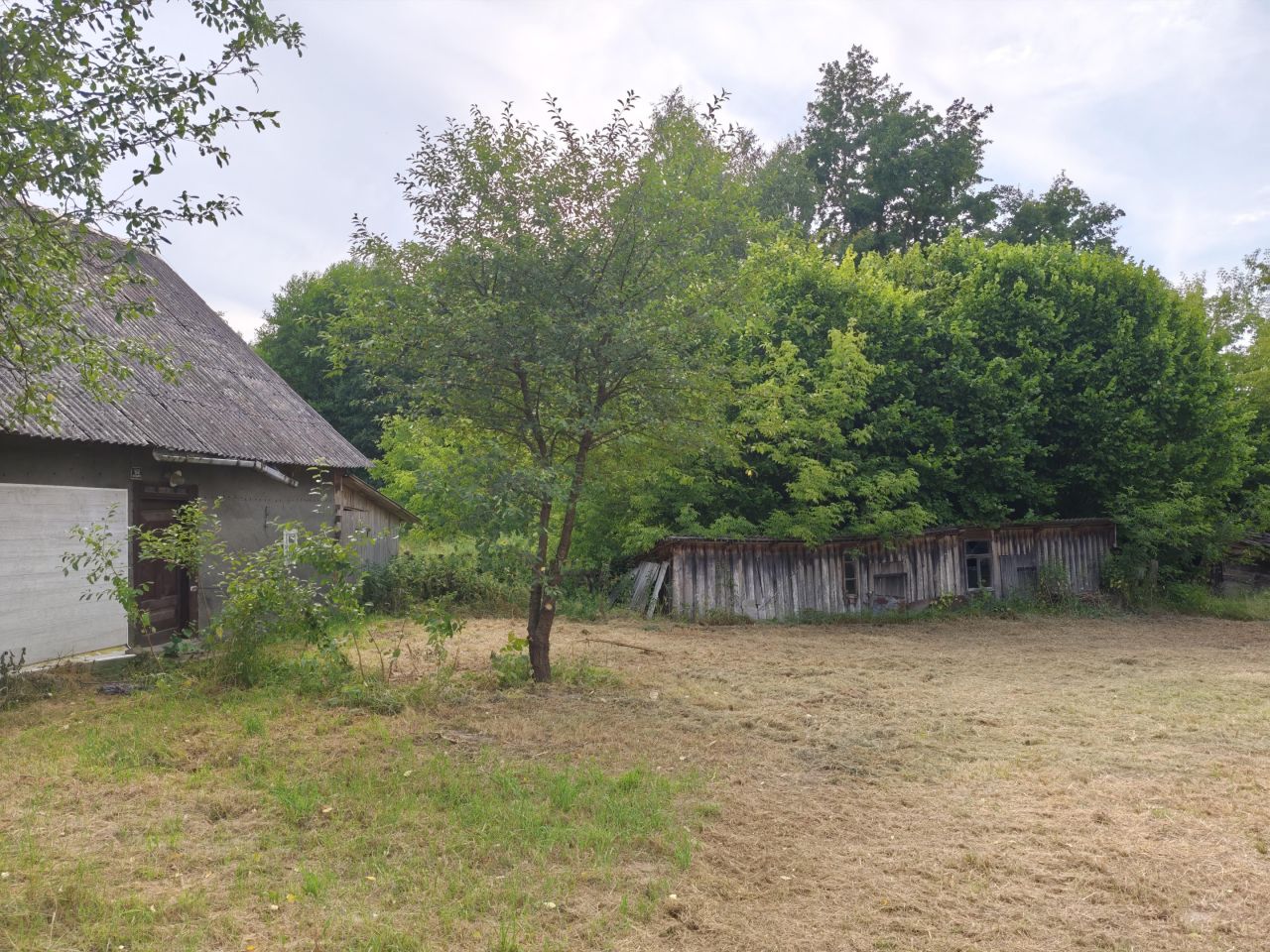 Działka rolno-budowlana Stawki Szkorutyniec. Zdjęcie 20