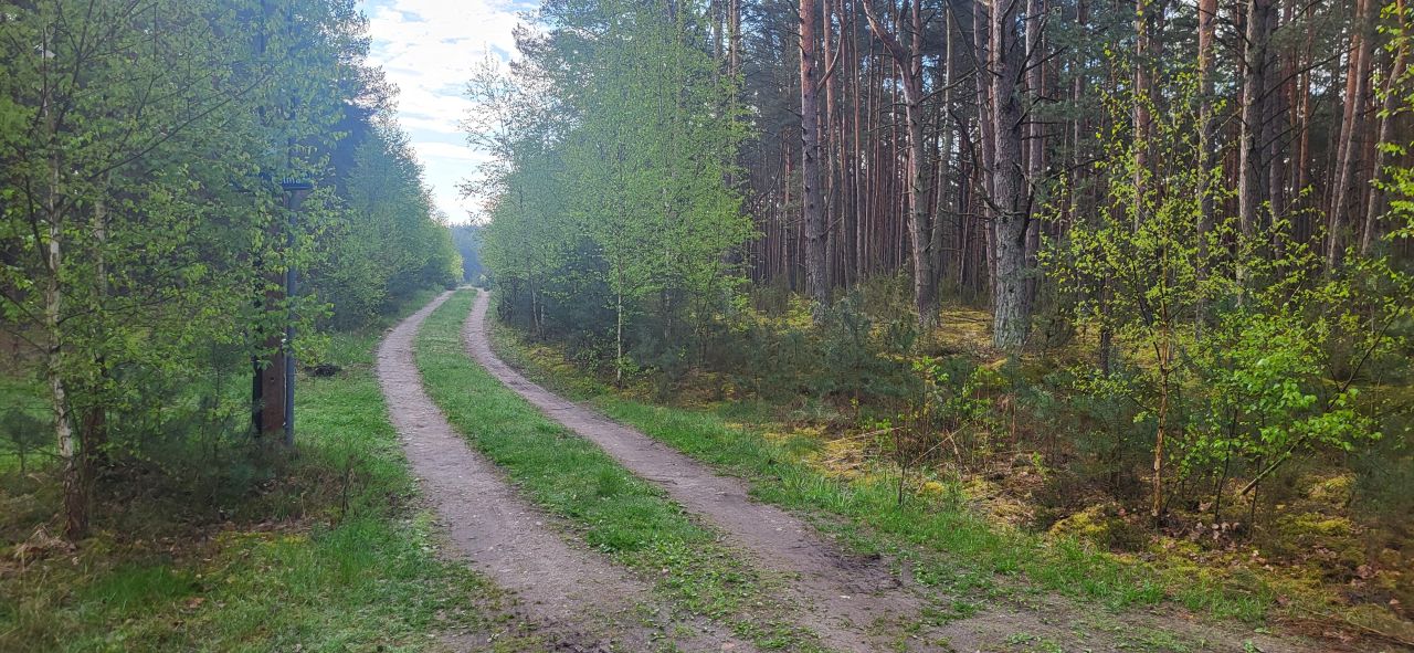 Działka leśna Popowo-Letnisko, al. Kamienna. Zdjęcie 5