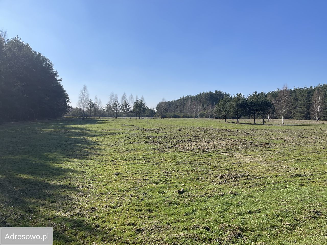 Działka rolna Kąty-Miąski. Zdjęcie 4