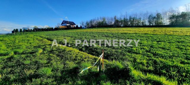 Działka Grabie. Zdjęcie 2