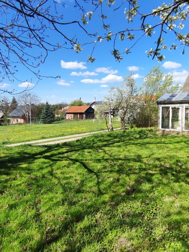 Działka rolno-budowlana Wysoka, Wysoka. Zdjęcie 2