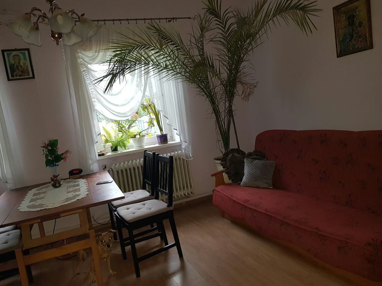dom wolnostojący, 5 pokoi Zalesie. Zdjęcie 12