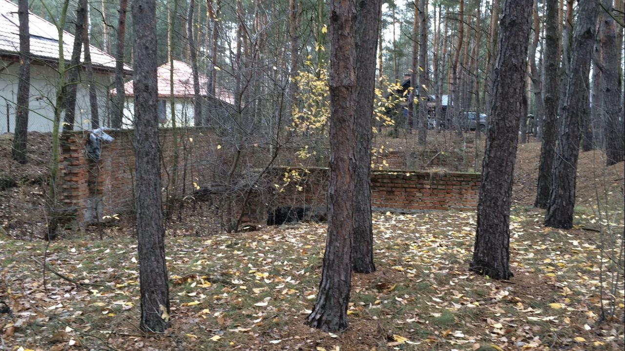 Działka budowlana Nowe Załubice, ul. Wiolinowa. Zdjęcie 4