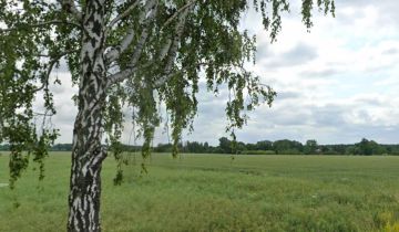 Działka rolna Cieśle