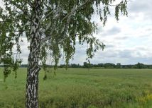 Działka rolna Cieśle. Zdjęcie 1