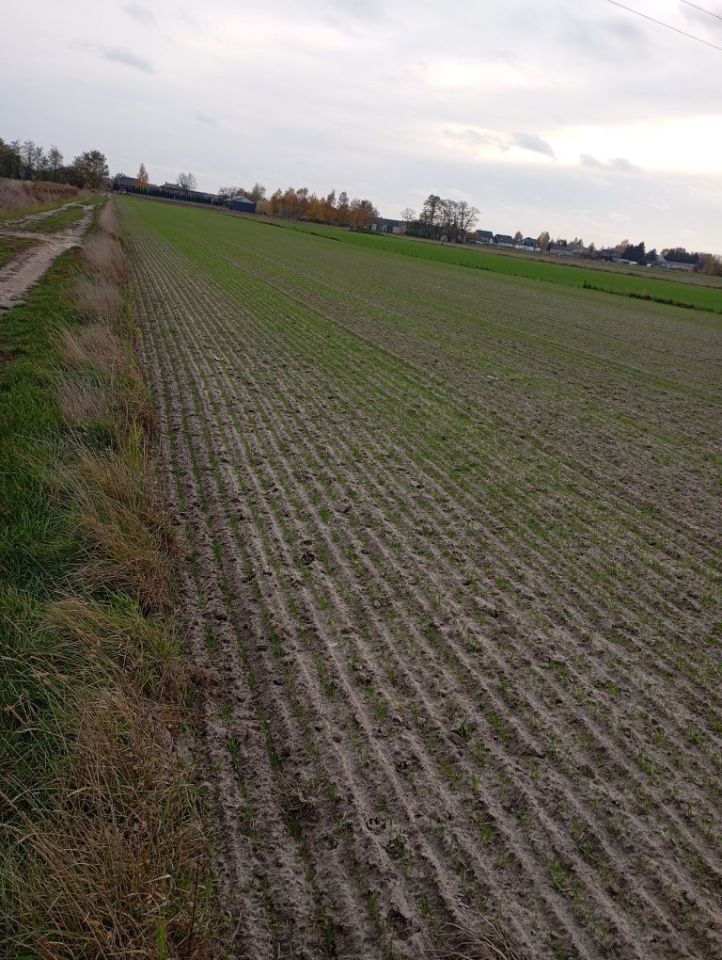Działka rolno-budowlana Chajęty. Zdjęcie 4