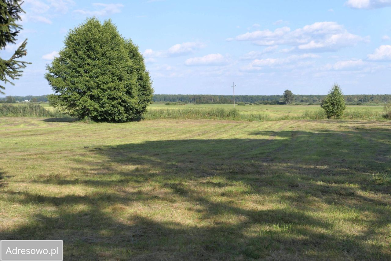 Działka rekreacyjna Sosnowo. Zdjęcie 8