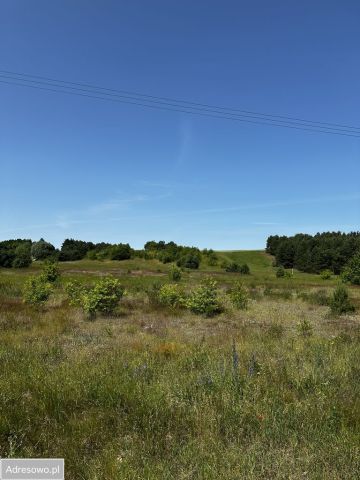 Działka inwestycyjna Gąbinek. Zdjęcie 1