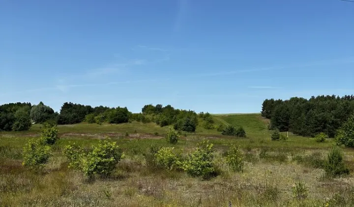 Działka inwestycyjna Gąbinek