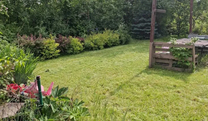 Działka rod Wrocław Krzyki, ul. Bardzka