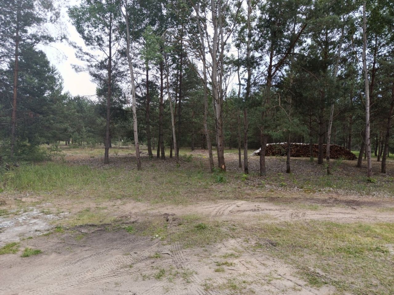 Działka budowlana Klempicz. Zdjęcie 2