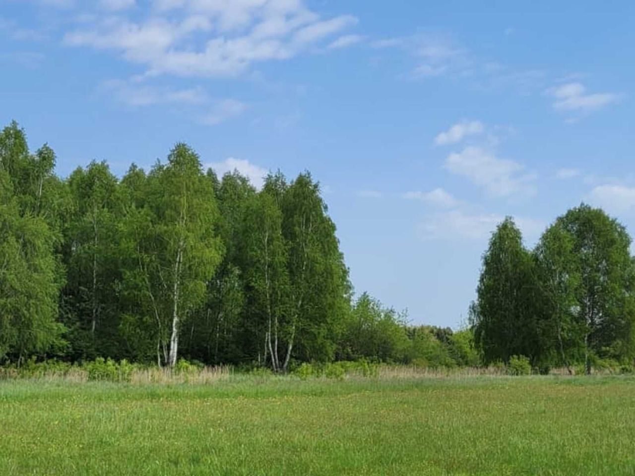 Działka budowlana Lgota. Zdjęcie 3