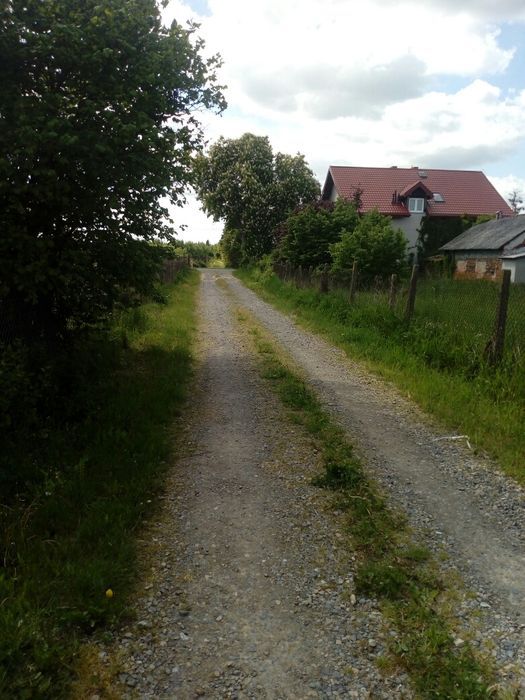 Działka rolna Czaplin. Zdjęcie 4