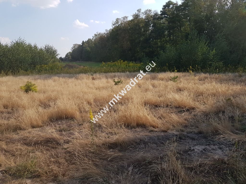 Działka budowlana Kosów. Zdjęcie 2