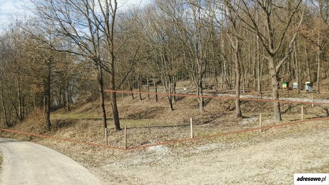 Działka inna Turze Pole Grabiec. Zdjęcie 1